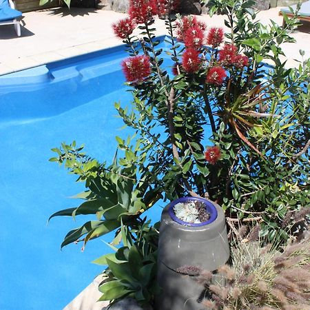 Snells Beach Motel Luaran gambar